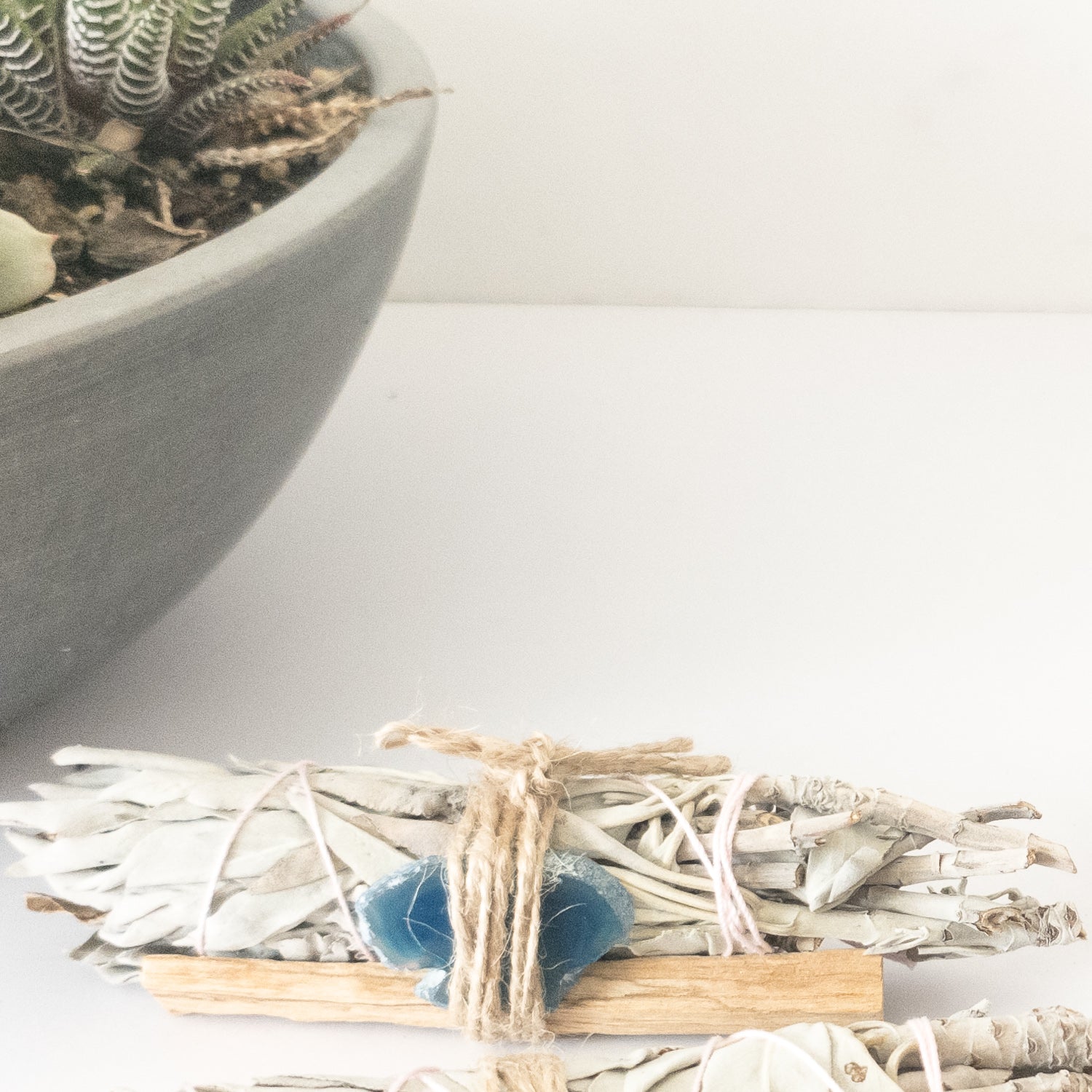 Bundle of sage, palo santo and crystal on a white surface, with a potted plant in the background.