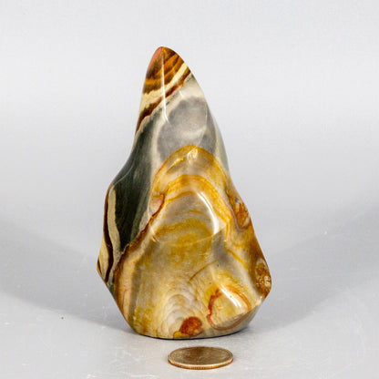 Polished polychrome jasper flame stone with yellow and brown patterns on a white background