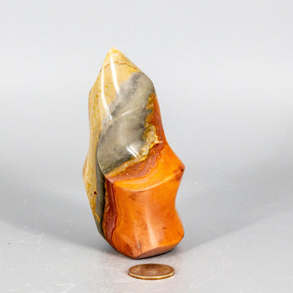Polished orange and gray polychrome jasper flame stone with a coin for scale on a white background