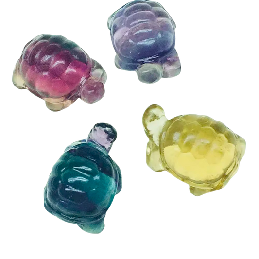 Fluorite Turtle