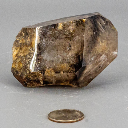 Skeletal Elestial Smoky Quartz Enhydro Point with Huge Bubble