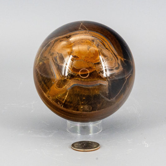 Tigers eye crystal sphere on a clear stand with a coin for scale on a light gray background