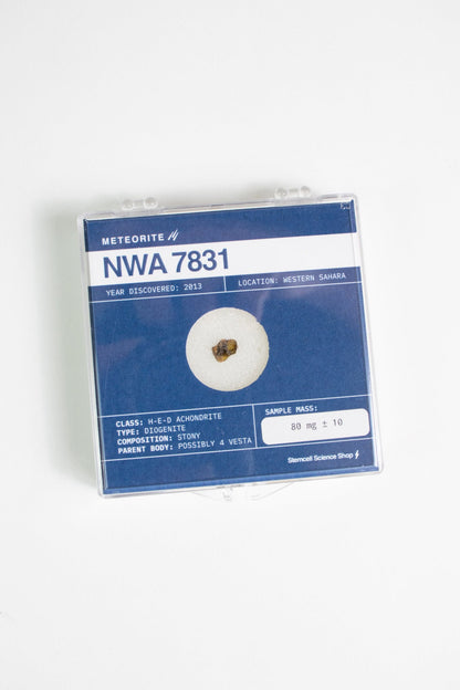 Asteroid 4 Vesta Meteorite