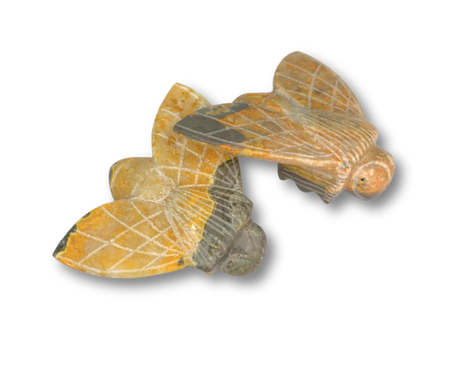 Bumblebee Jasper Bumblebee