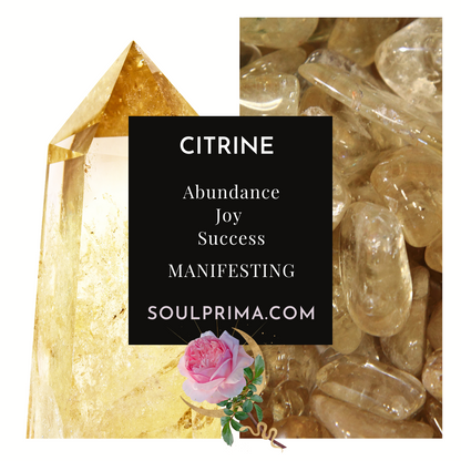 Lucky Dragon Turtle Crystal to Align with Your Purpose, Medium