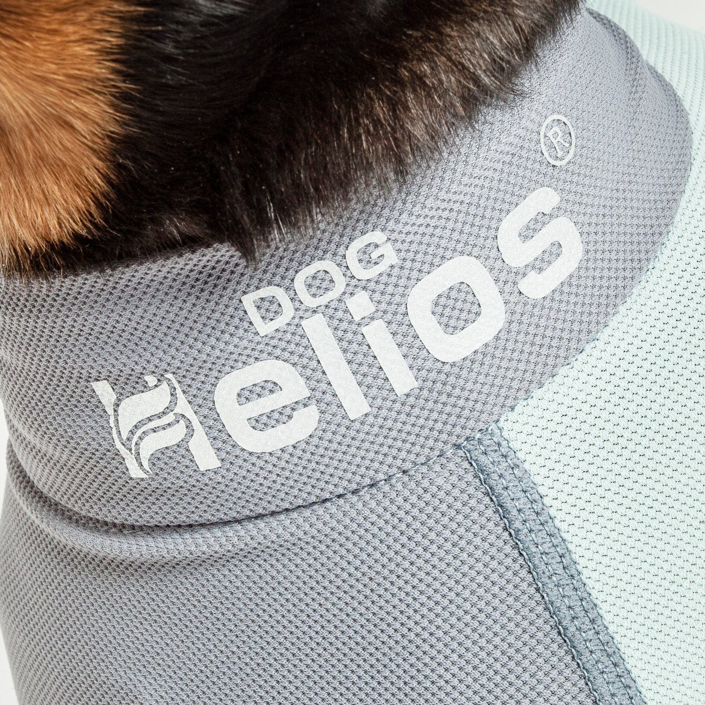 Dog Helios® 'Tail Runner' Lightweight 4-Way-Stretch Breathable Yoga Dog Tracksuit