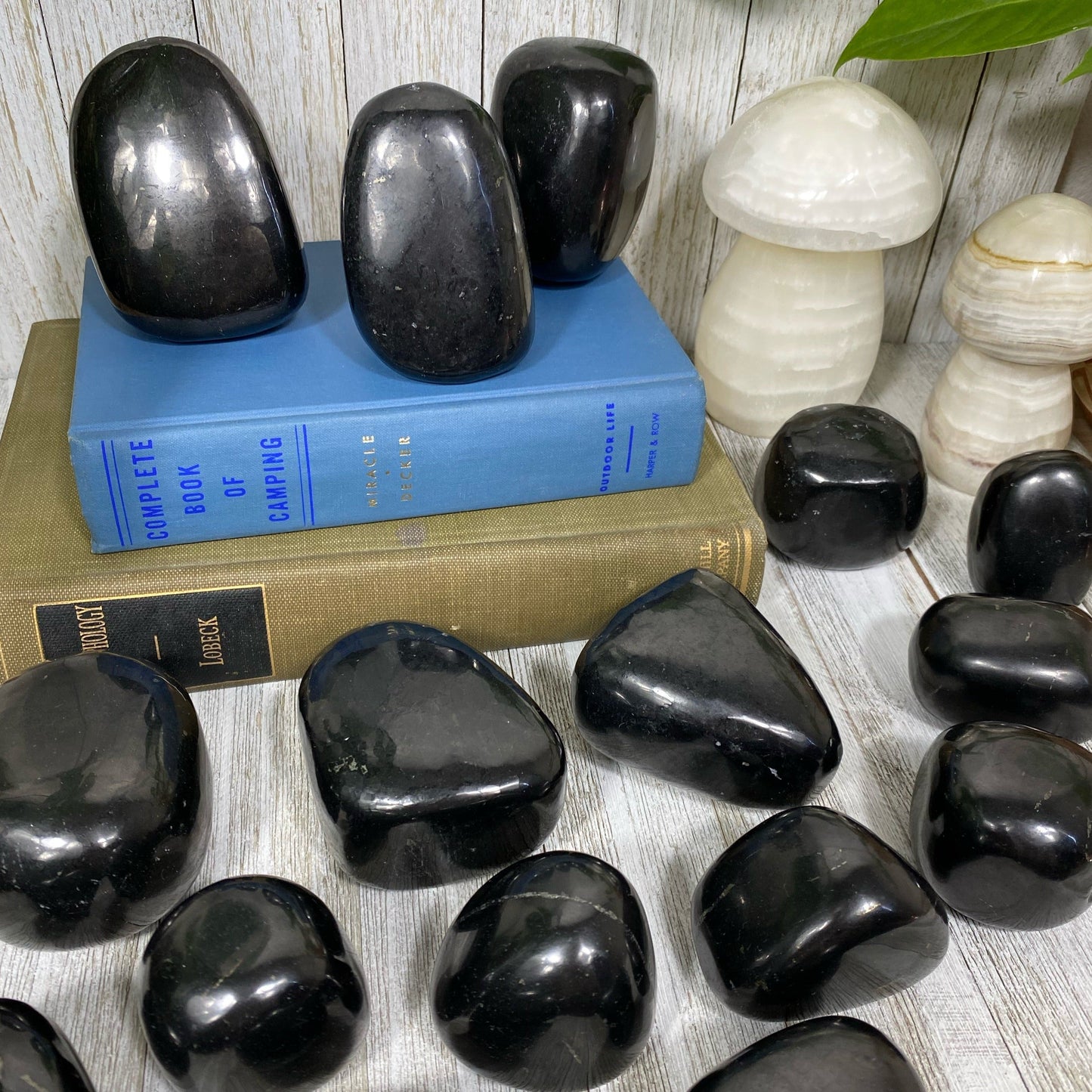 Shungite Polished Freeform