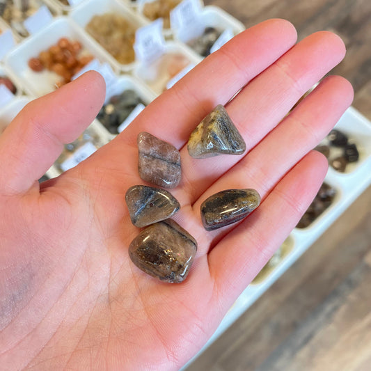 Chiastolite (Perseverance) Tumbled Pocket Stone