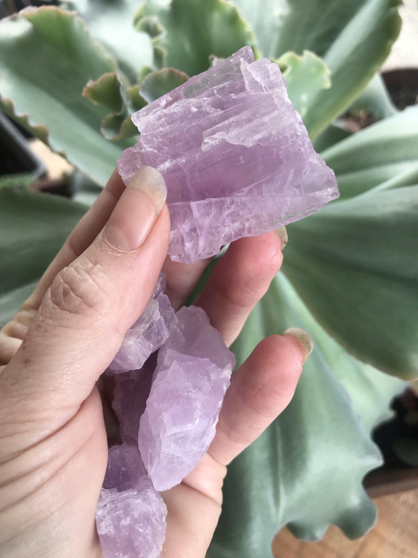 Crystal - Pink Kunzite