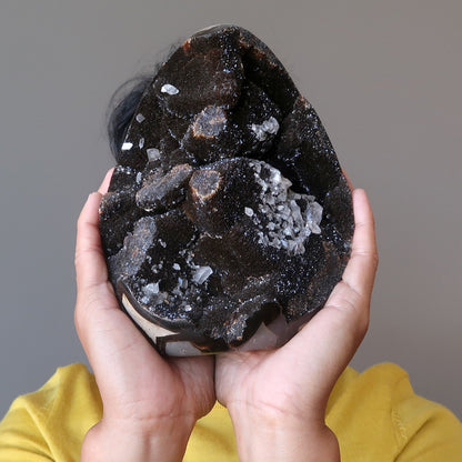 Septarian Egg Mighty Dragon Stone Druzy Geode