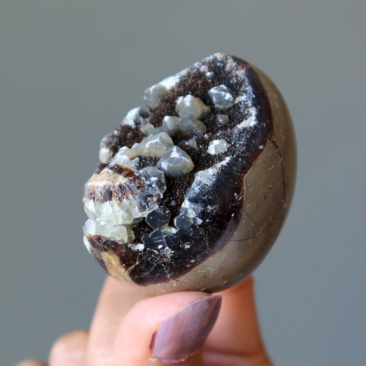 Septarian Egg Mighty Dragon Stone Druzy Geode