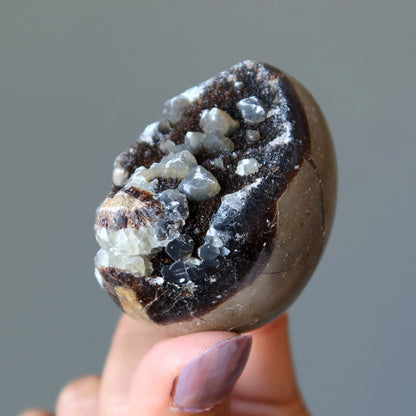 Septarian Egg Mighty Dragon Stone Druzy Geode