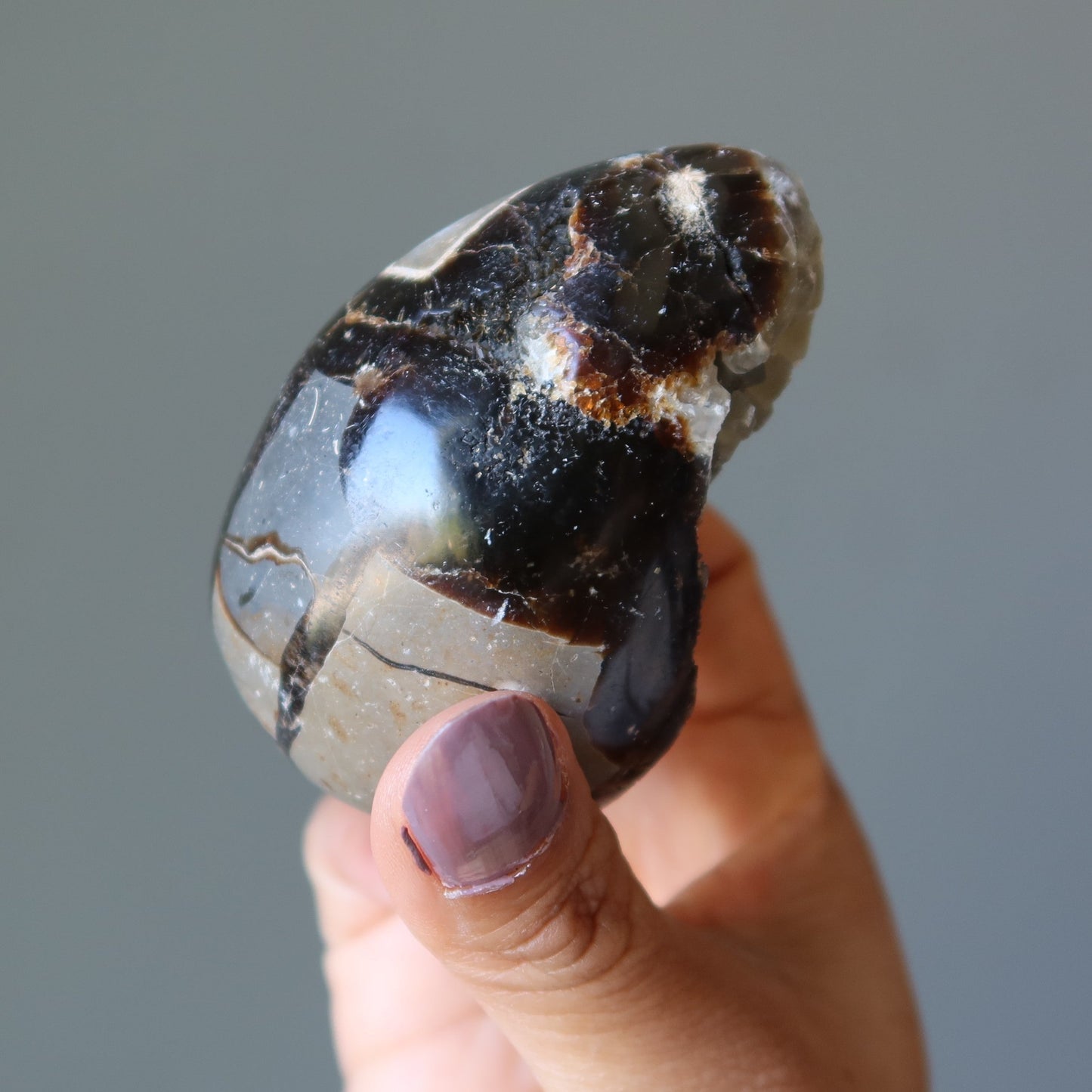 Septarian Egg Mighty Dragon Stone Druzy Geode