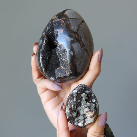 Septarian Egg Mighty Dragon Stone Druzy Geode