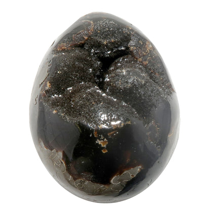 Septarian Egg Mighty Dragon Stone Druzy Geode