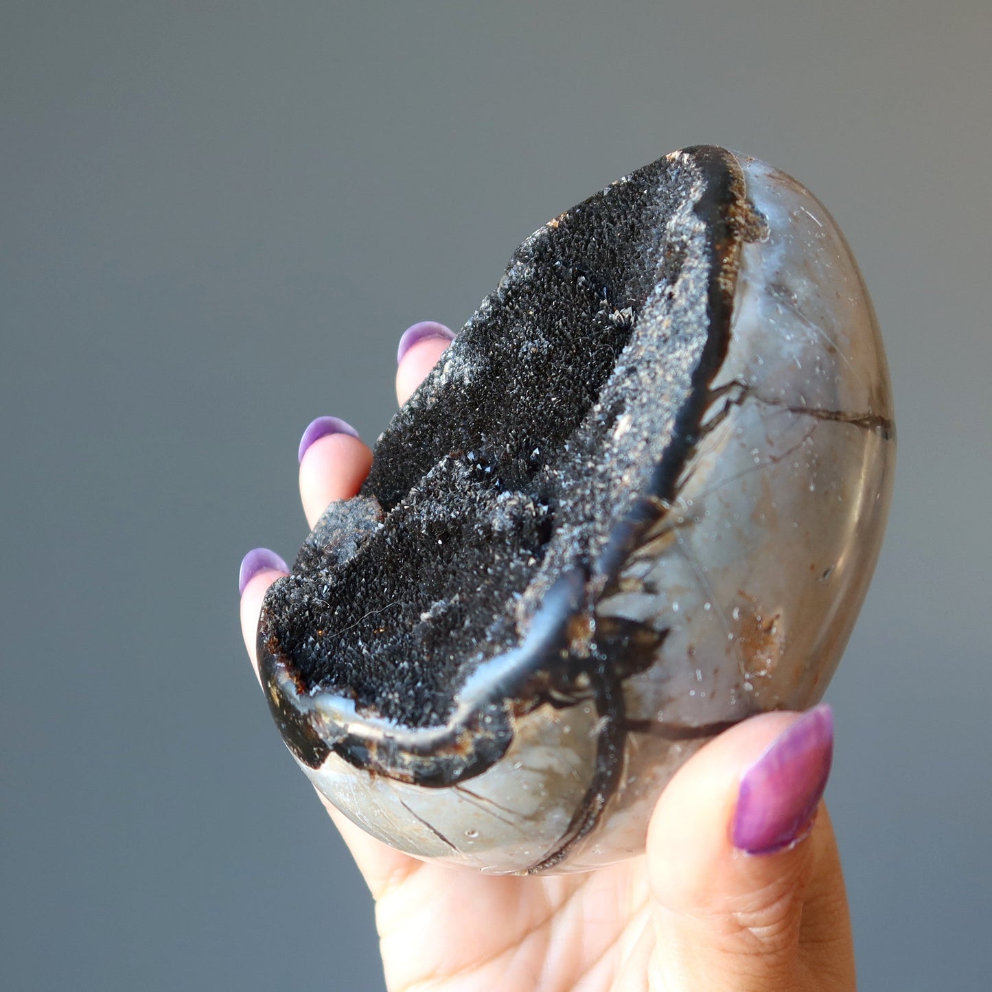 Septarian Egg Mighty Dragon Stone Druzy Geode