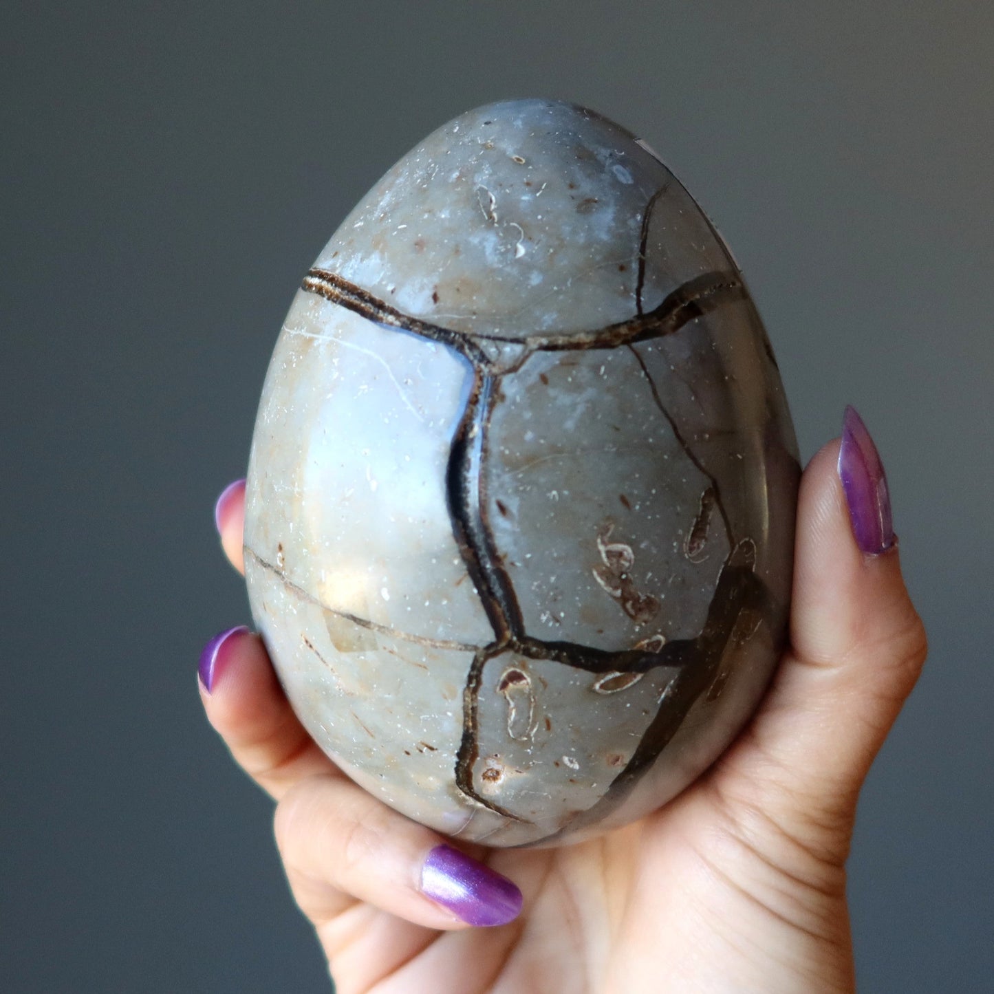 Septarian Egg Mighty Dragon Stone Druzy Geode