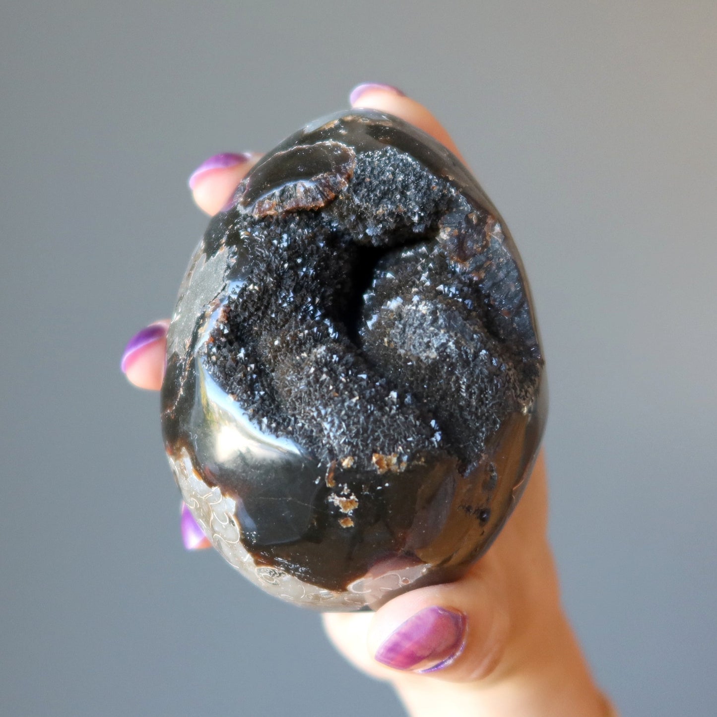 Septarian Egg Mighty Dragon Stone Druzy Geode