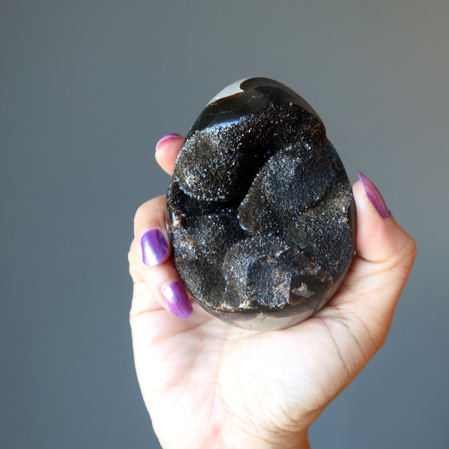 Septarian Egg Mighty Dragon Stone Druzy Geode