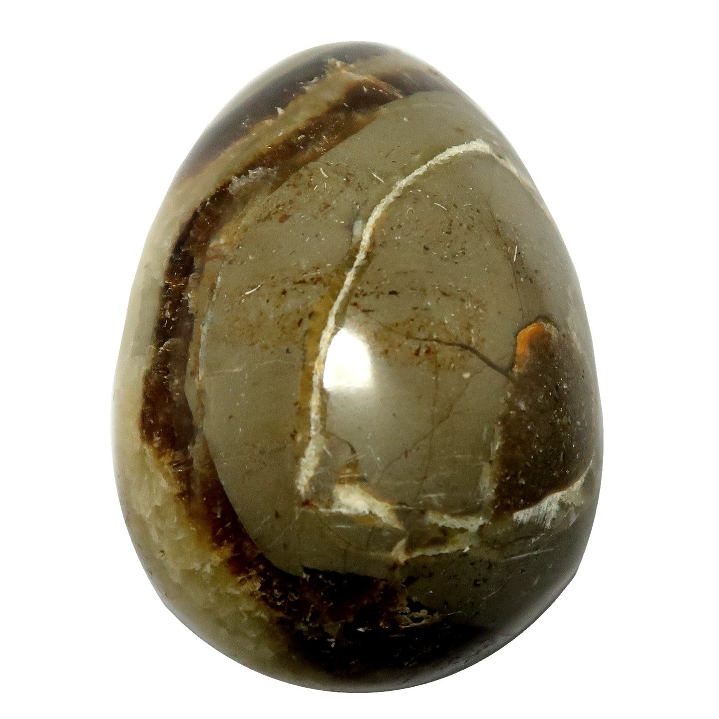 Septarian Egg A Dragon is Born Strength Stone