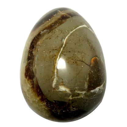 Septarian Egg A Dragon is Born Strength Stone