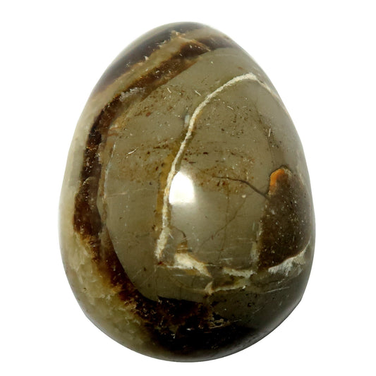 Septarian Egg A Dragon is Born Strength Stone