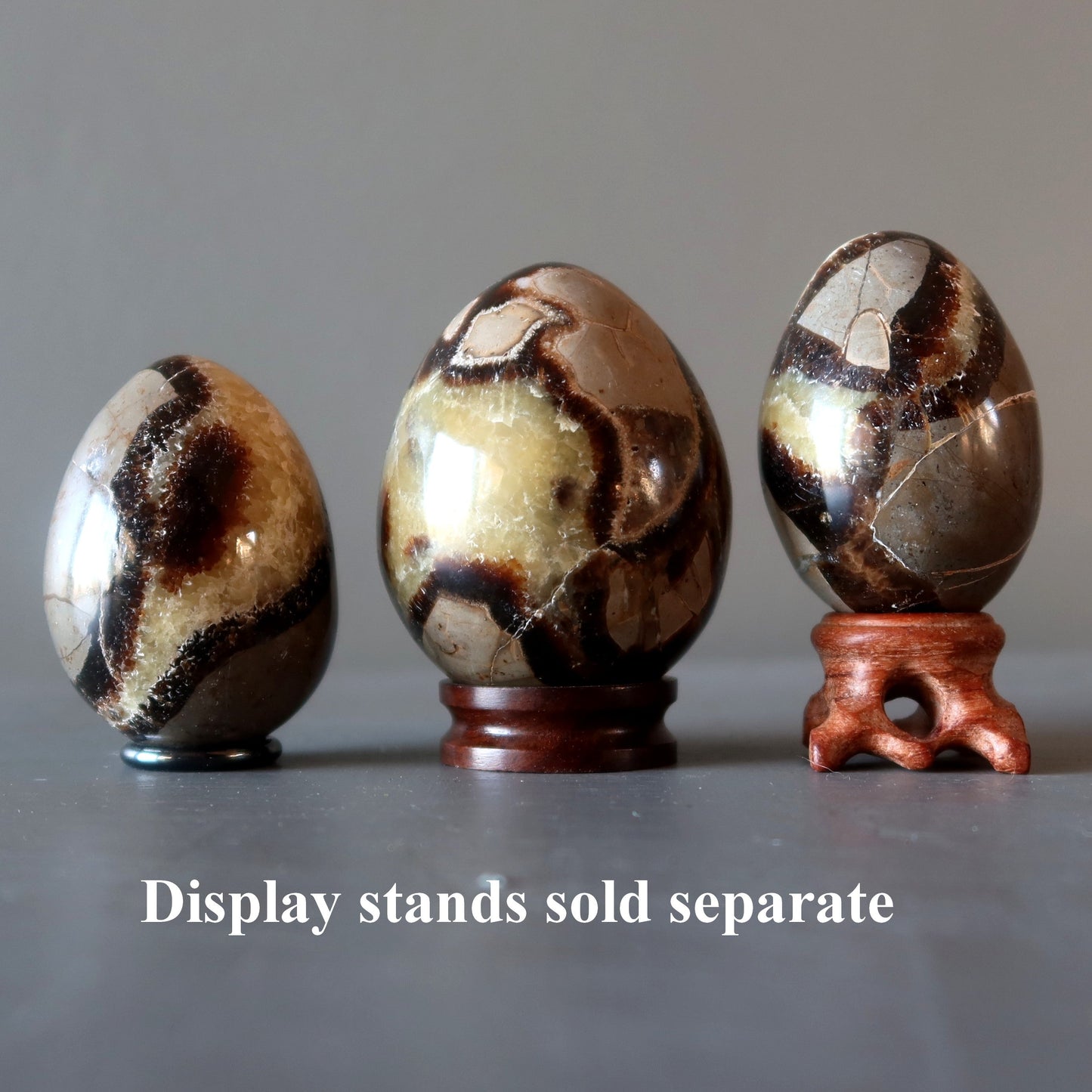 Septarian Egg A Dragon is Born Strength Stone