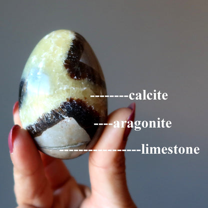 Septarian Egg A Dragon is Born Strength Stone