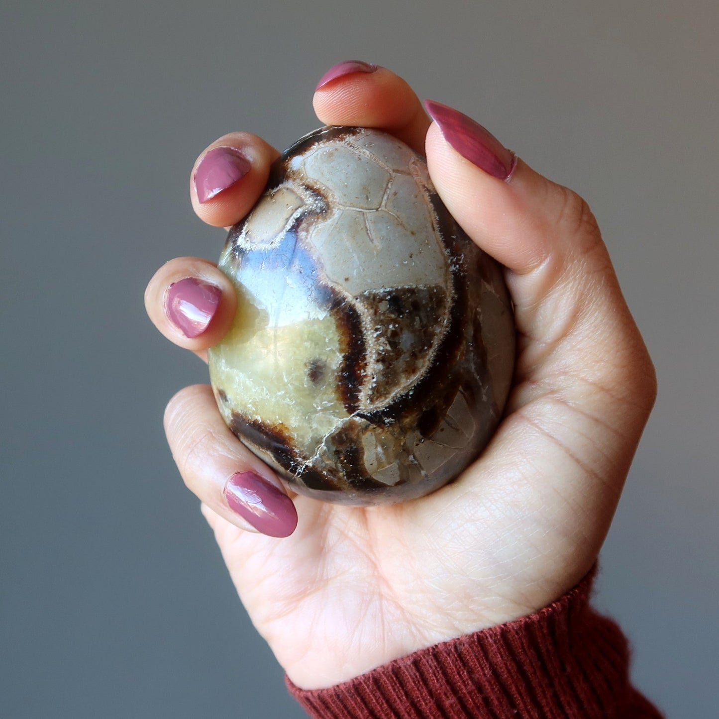 Septarian Egg A Dragon is Born Strength Stone