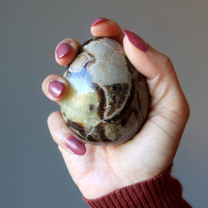 Septarian Egg A Dragon is Born Strength Stone