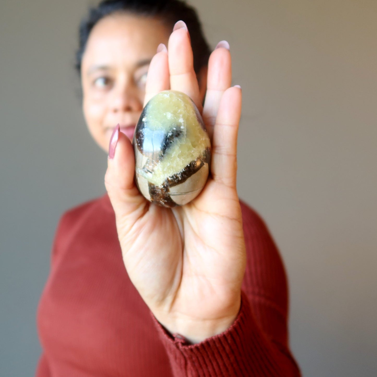 Septarian Egg A Dragon is Born Strength Stone