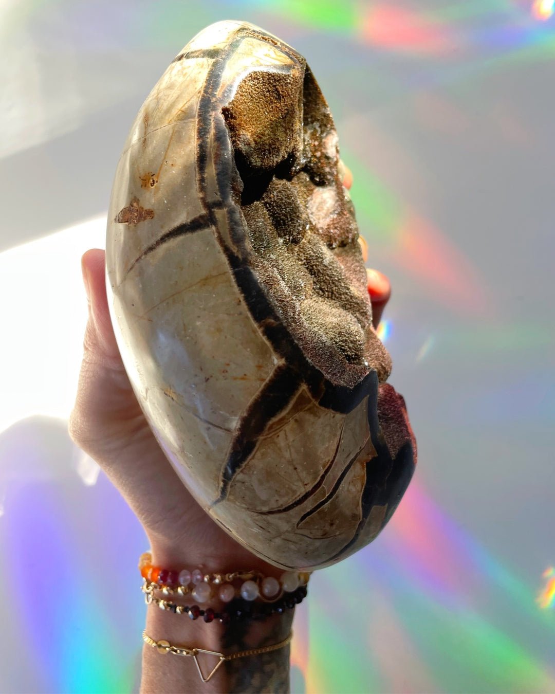 Septarian Geode Dragon Egg - Cutbase - Ethereal Essentials