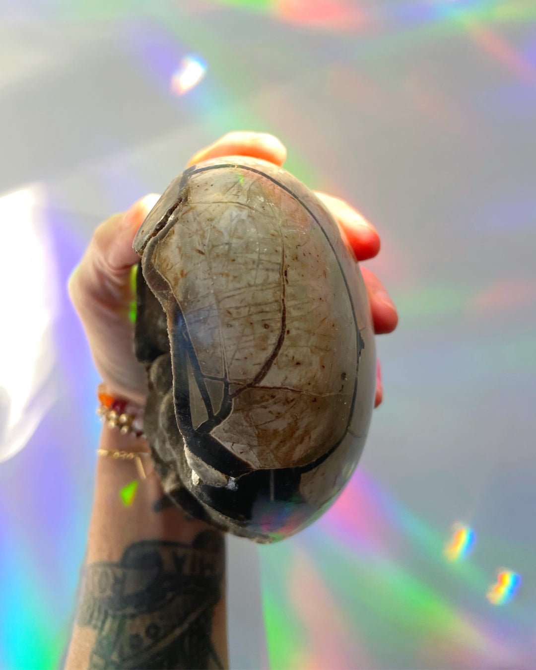 Septarian Geode Dragon Egg - Cutbase - Ethereal Essentials