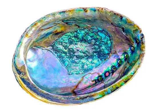 Natural Rainbow ashtray for home fragrance Smudging rituals -5" DC-OMSutra