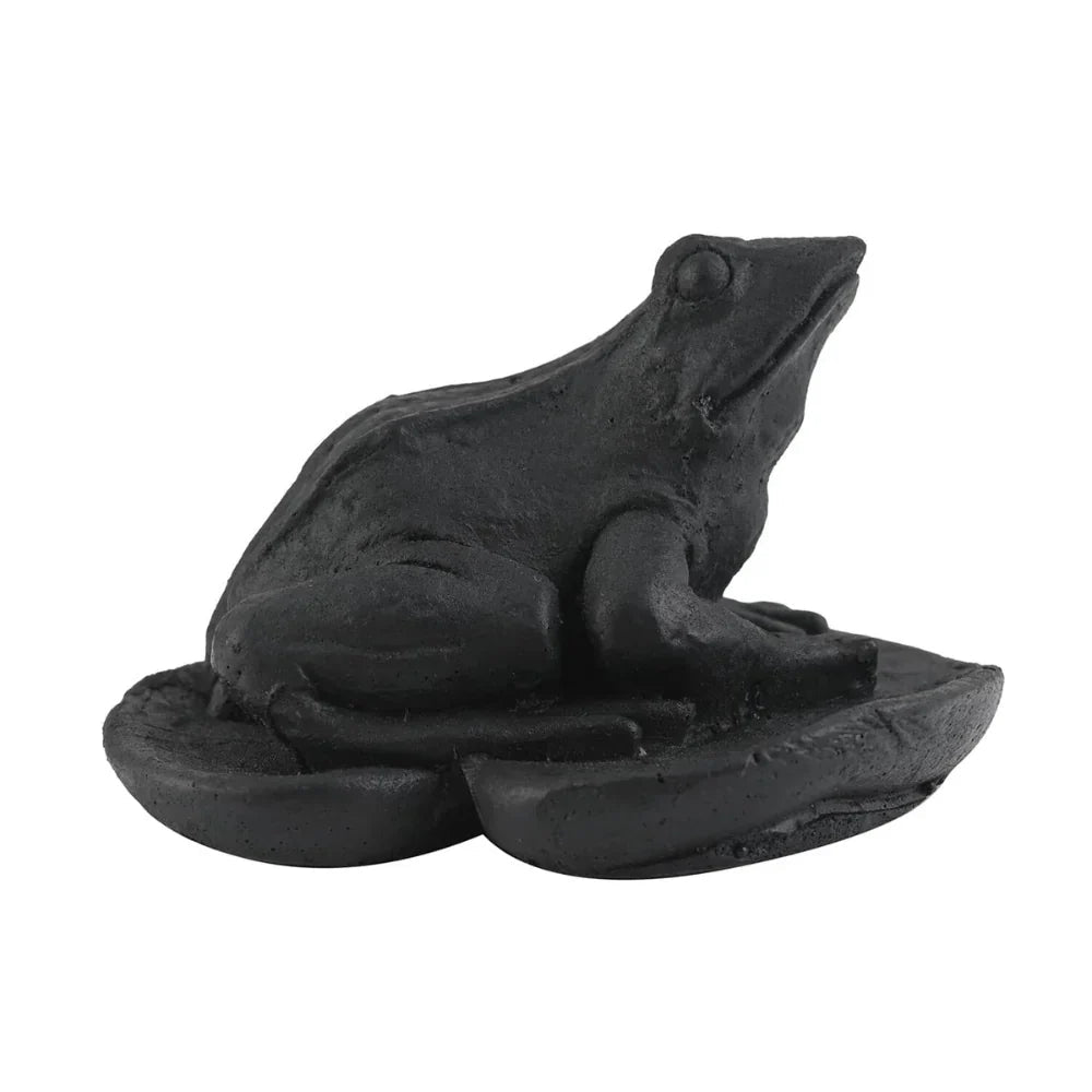Shungite Frog - Ethereal Essentials