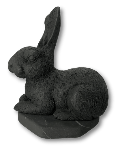 Shungite Rabbit - Ethereal Essentials
