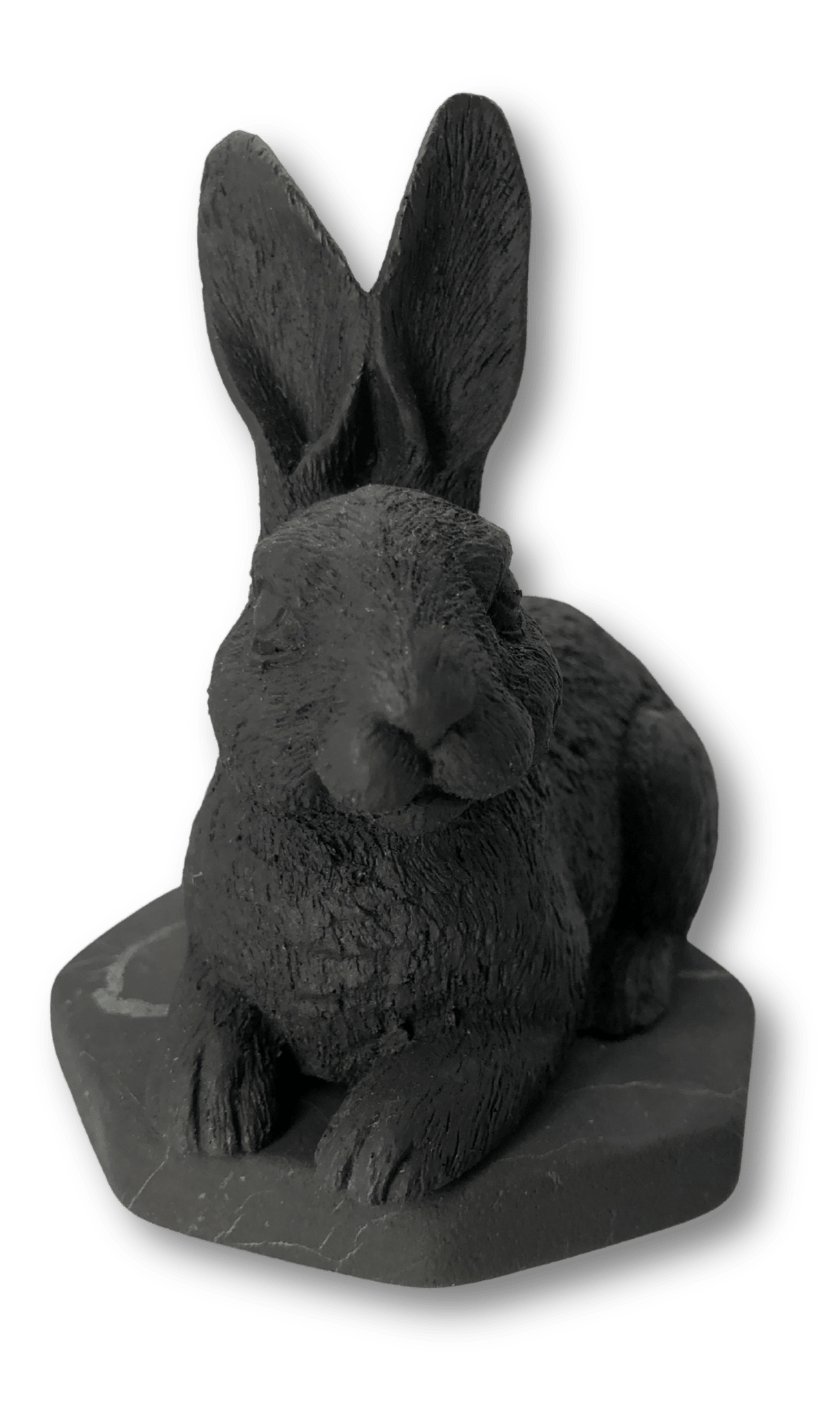 Shungite Rabbit - Ethereal Essentials