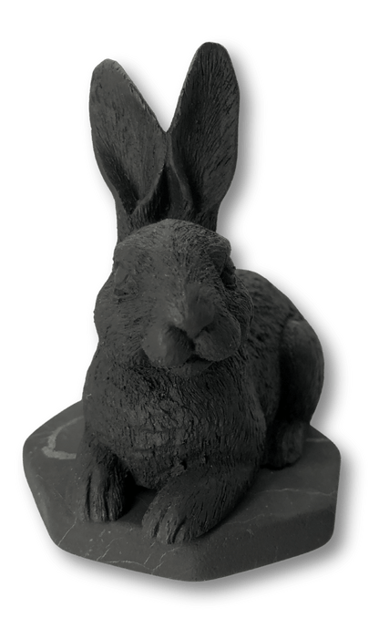 Shungite Rabbit - Ethereal Essentials