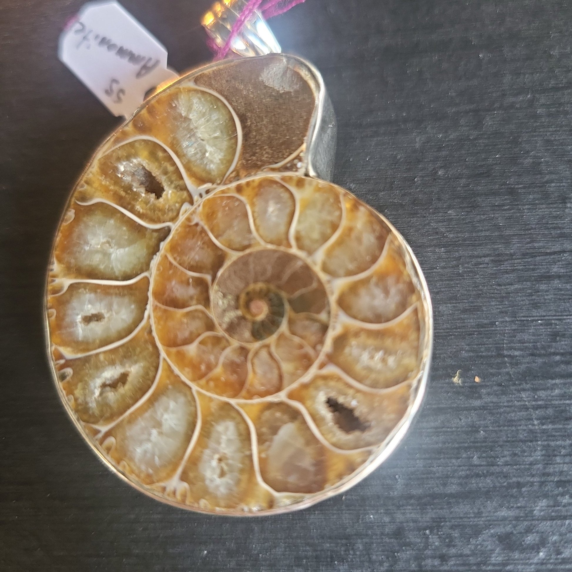 Sterling Silver Ammonite Pendant - Ethereal Essentials