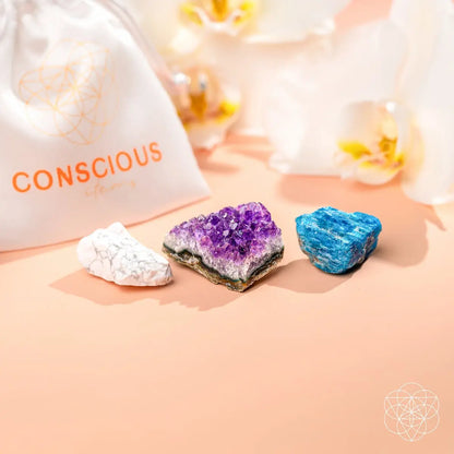 The Anti-Anxiety Trio - Amethyst, Apatite, Howlite Conscious Items