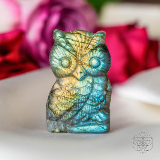 token-of-wisdom-labradorite-owl-talisman