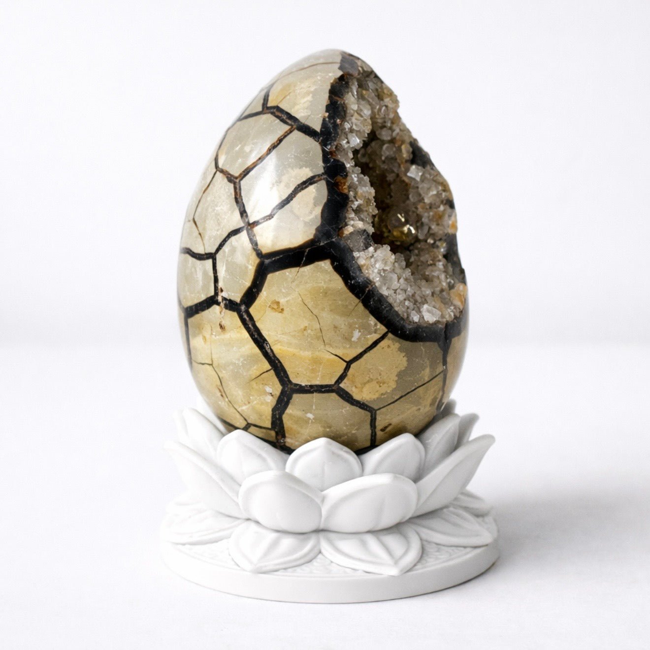 White Lotus Crystal Egg Stand – Choose Your Egg - Ethereal Essentials